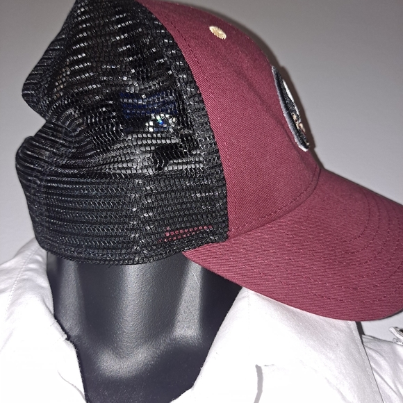 Florida State Seminoles - Picture 2 of 6